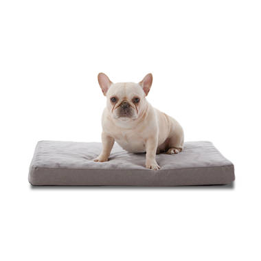 Waterproof orthopedic dog bed sale